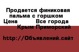 Продается финиковая пальма с горшком › Цена ­ 600 - Все города  »    . Крым,Приморский